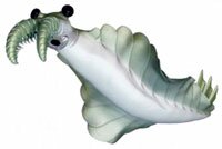 prehistoric sea creature