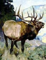 painting of an elk