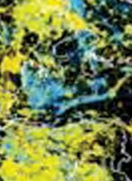 earth lights at night