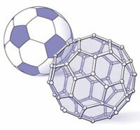 soccer ball demonstrating geometry
